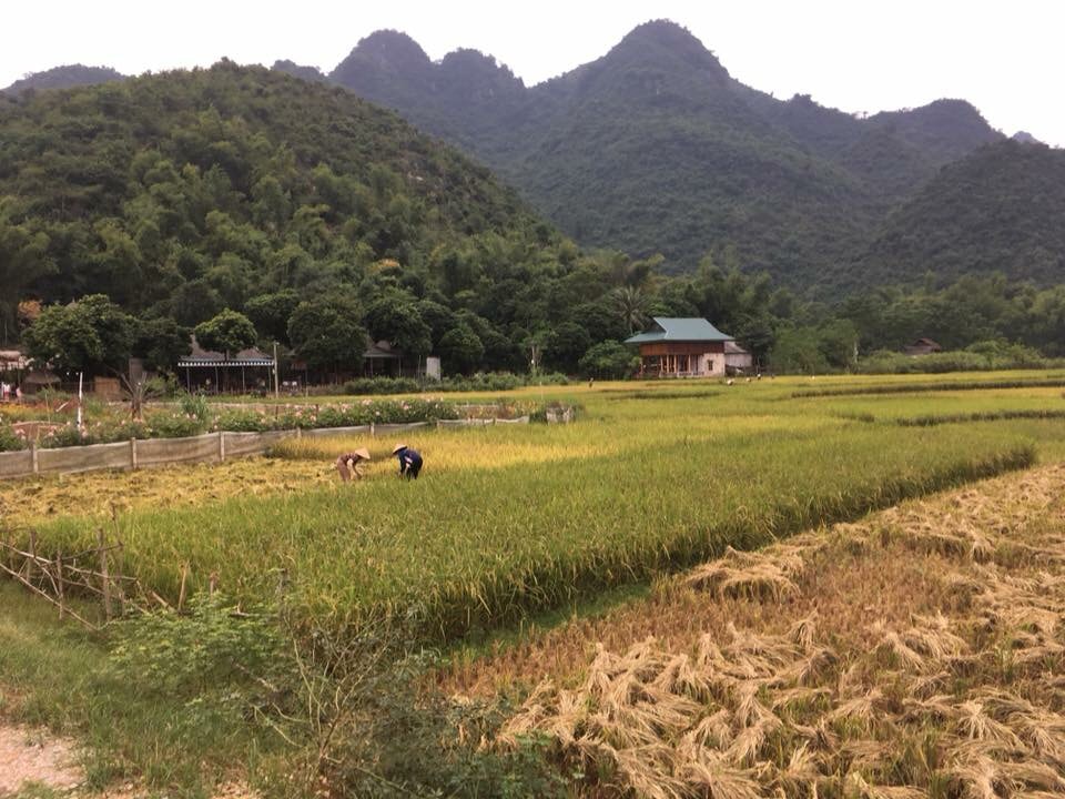 Best time to visit Mai Chau in June