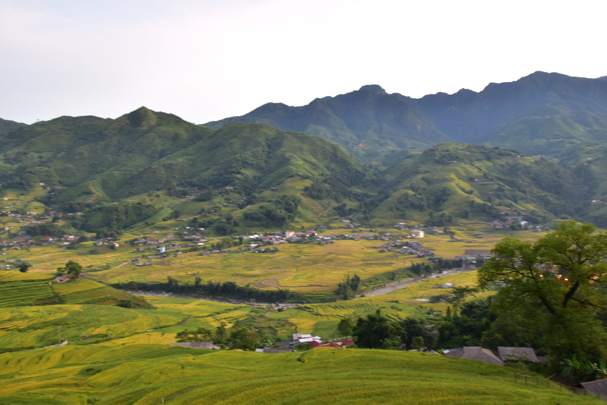 Sapa 3D2N – Trekking & Fansipan Peak – Private tour