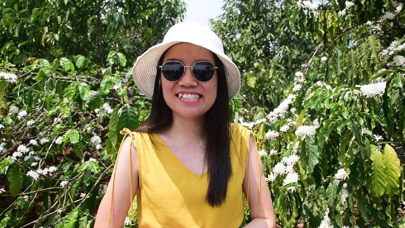 Coffee in the highlands vietnam