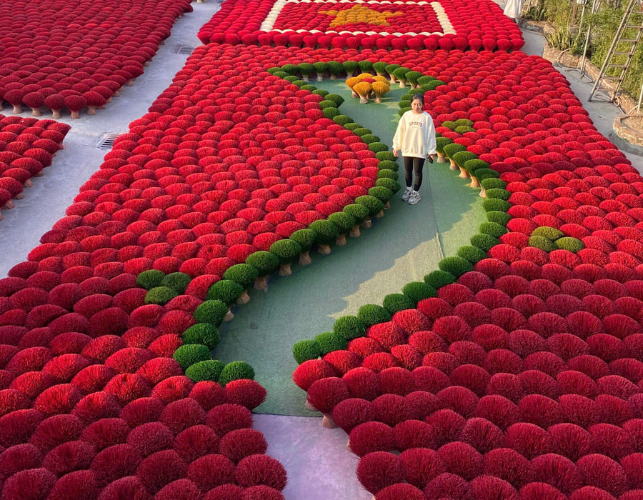 Vietnam Incense village 2