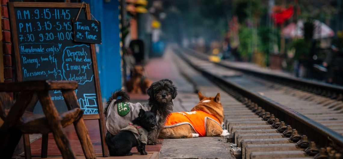 Story of Hanoi Train Street Patrick Jacobs 4